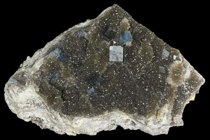Blue Cubic Fluorite on Smoky Quartz - China #147098